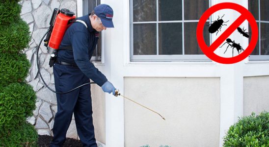 Kurşunlu Böcek ve Haşere İlaçlama böcek ilaçlama ve haşere kontrolü — ilaclama-tr.com